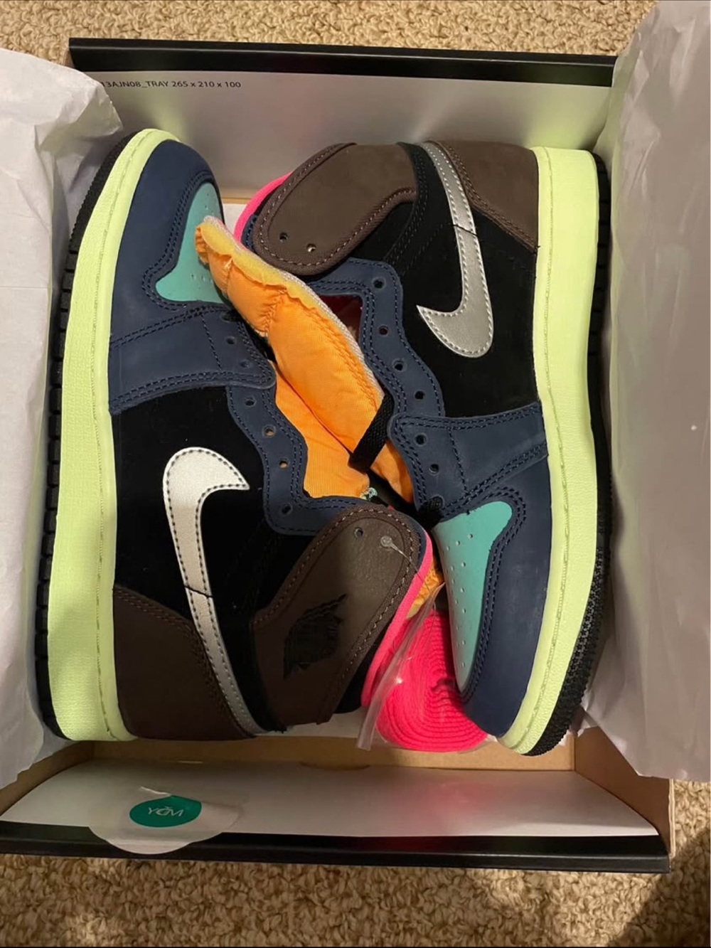 Jordan one Bio Hack